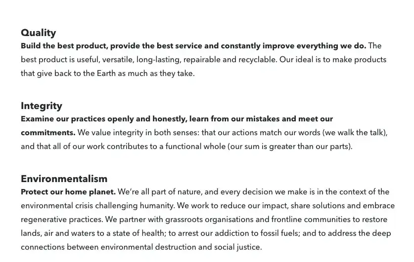 patagonia business plan example, sample business plans