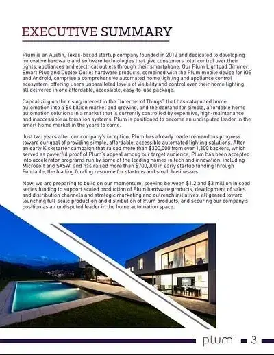 plum business plan example, sample business plans