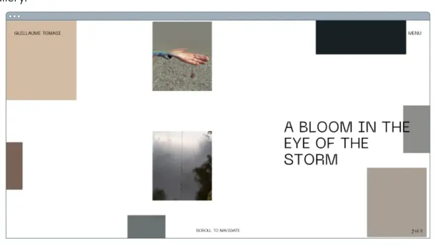 well-designed websites, guillaume tomasi photography