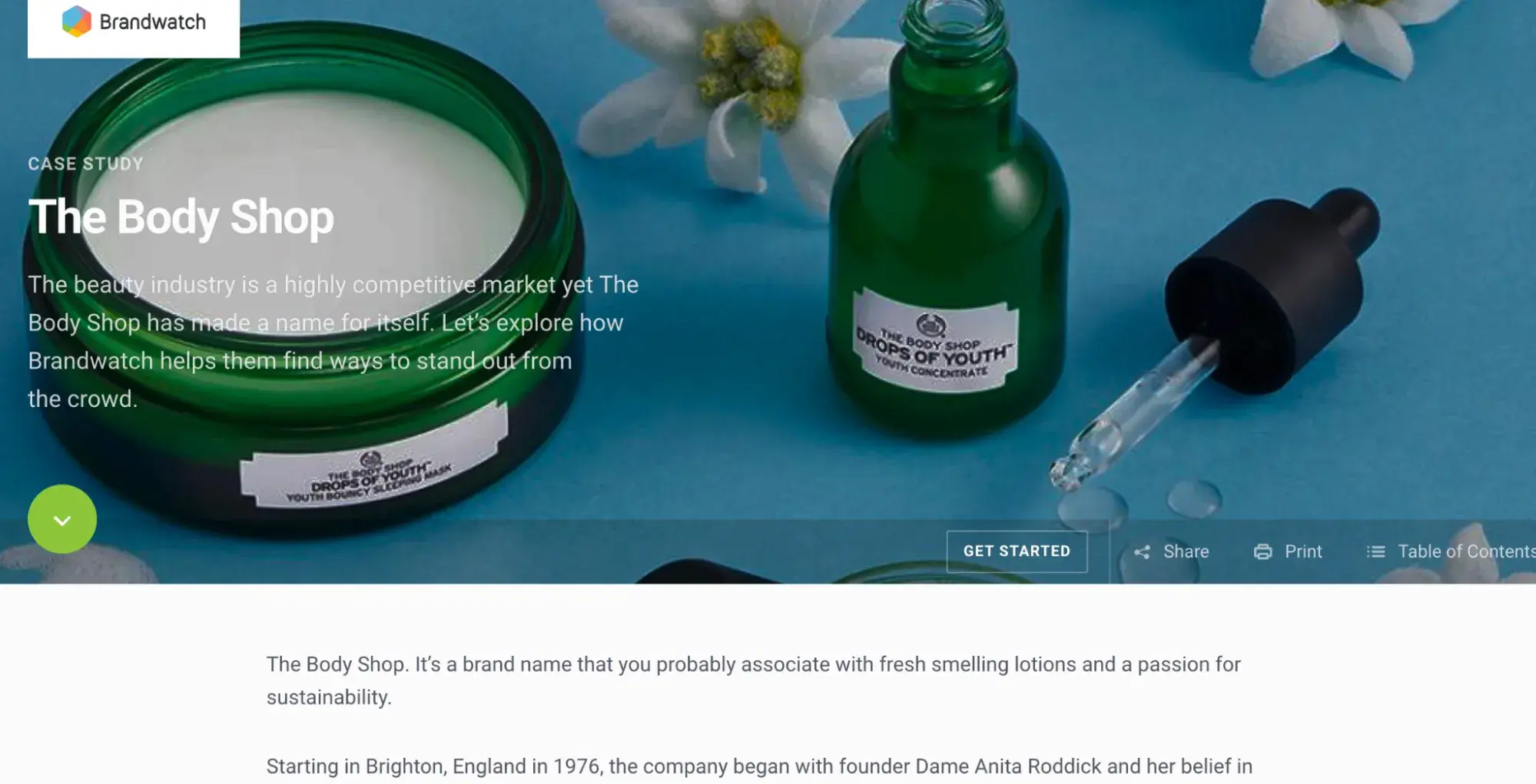 the body shop case study