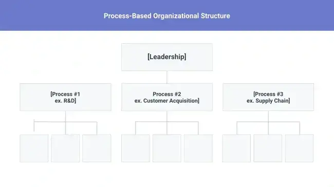 organizational structure, process-based