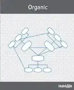 organizational structure, flat