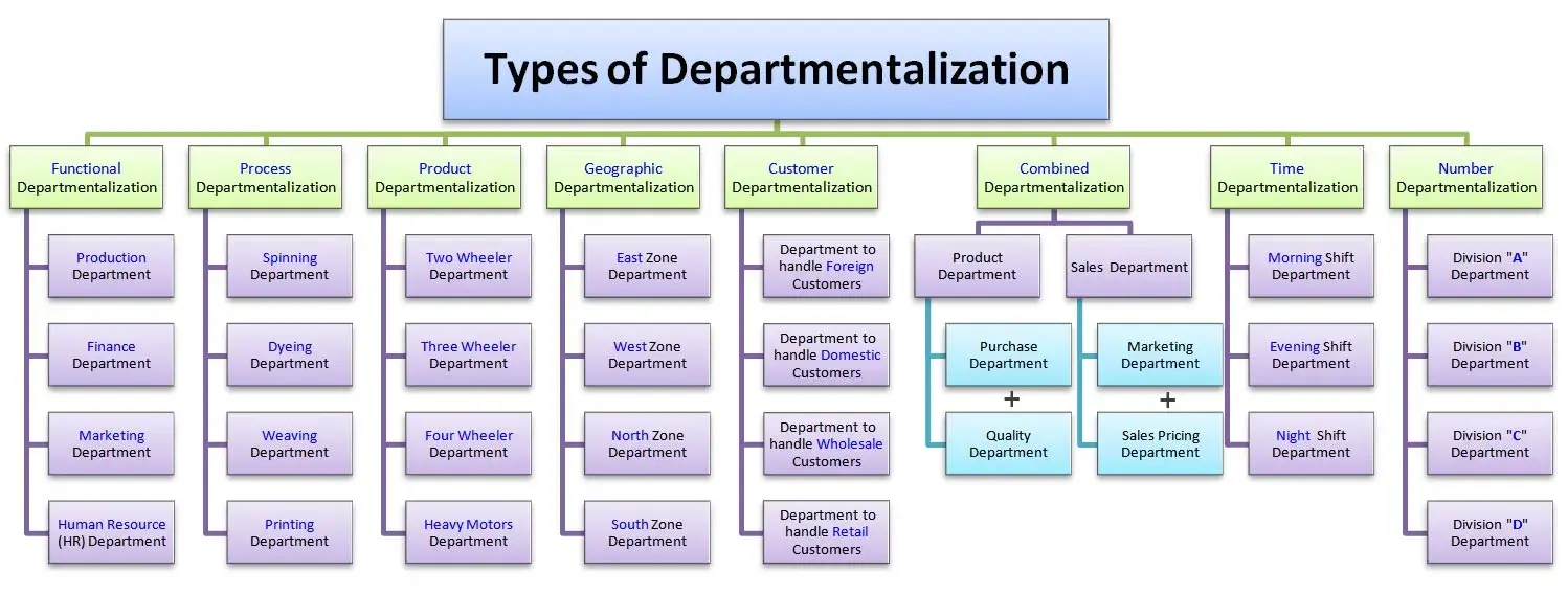 infographic shows what the departmentation structure looks like in organizational structures. one of these departments could be a b2b marketing team structure.