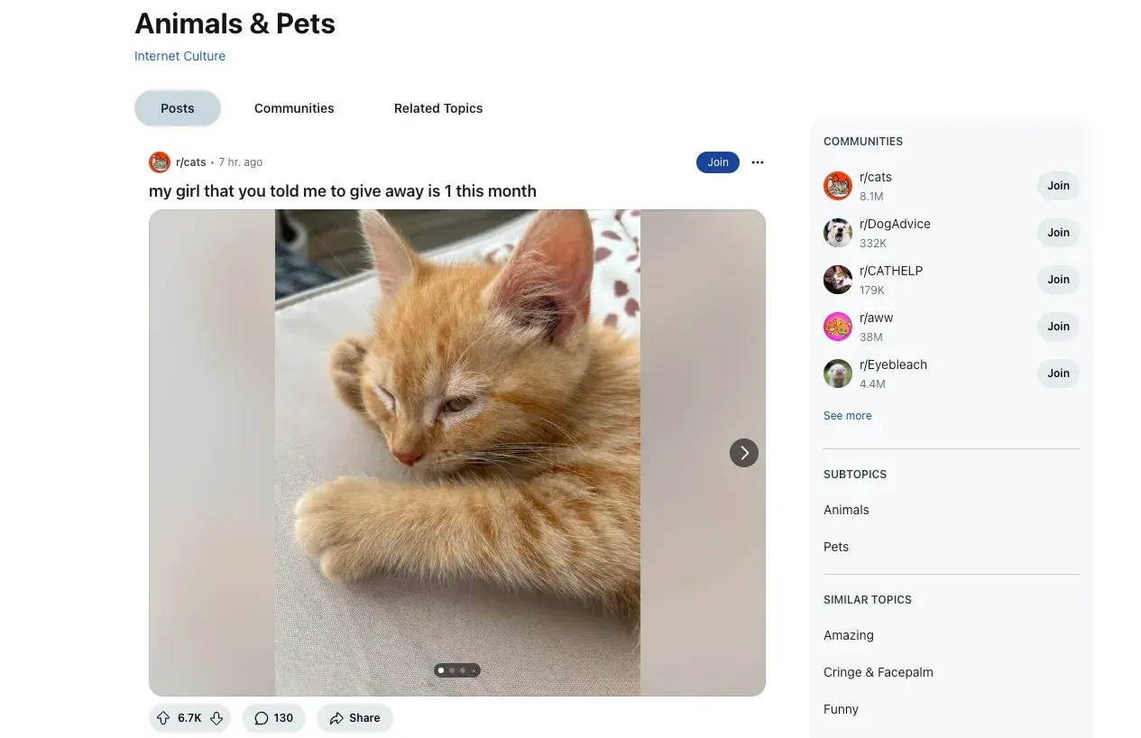 reddit, fastest-growing social media platforms 2025